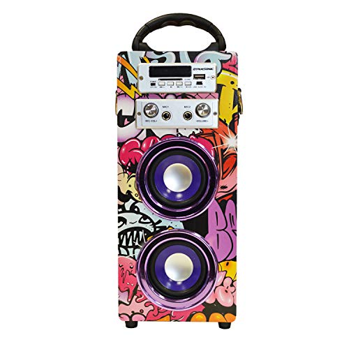DYNASONIC - Altavoz Bluetooth Portátil con Karaoke | Radio FM y Lector USB SD (Modelo 12) (Modelo 12, 2 Micrófonos)
