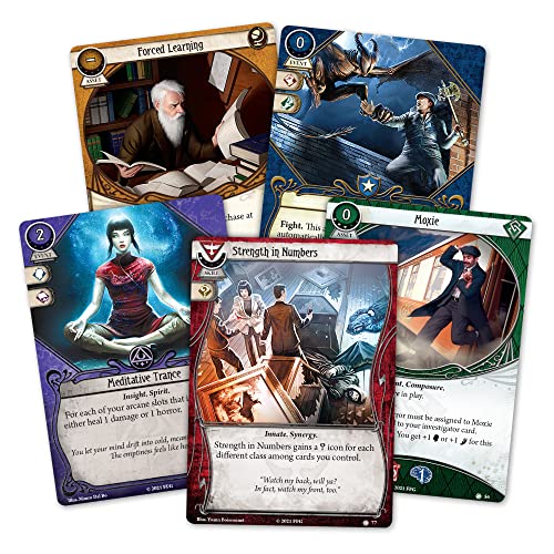 Fantasy Flight Games - Arkham Horror: The Card Game Edge of the Earth Investigator Expansion