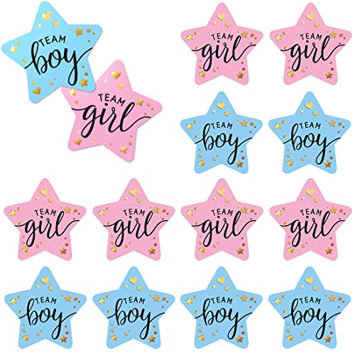 Fezf Paquete de 100 pegatinas de revelación de género, decoraciones para baby shower, fiesta de anuncio de género para niño o niña y baby shower (azul y rosa)