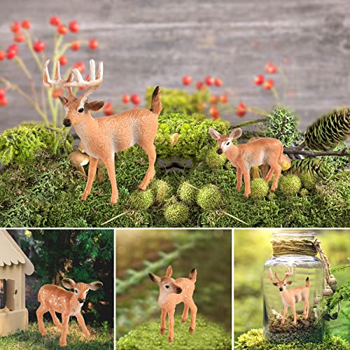 Figuras de Animales del Bosque, 6PCS Modelo Salvaje Bosque Animal, Ciervo de Cola Realista Modelo para Juguetes de Educación Temprana, Decoración de Pasteles, Decoración Navideña
