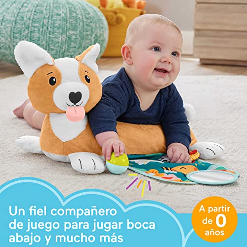 Fisher-Price Cojín cachorro 3 en 1 Peluche sensorial con accesorios, juguete para bebé recién nacido (Mattel HJW10)