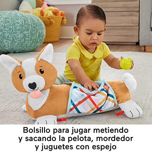 Fisher-Price Cojín cachorro 3 en 1 Peluche sensorial con accesorios, juguete para bebé recién nacido (Mattel HJW10)