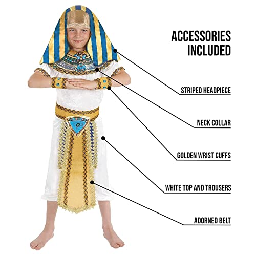 Fun Shack Disfraz Egipcio Niño, Disfraz Faraon Niño, Traje Egipcio Niño, Disfraz Niño Egipcio,Disfraz Egipto Niño, Egipcio Disfraz Niño, Disfraz Carnaval Niño Talla XL