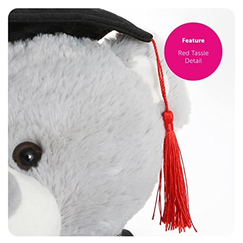 FURRY PLANET TOYS Oso de peluche de graduación de 23 cm, regalo para ella, bonito oso con pergamino, bata y sombrero