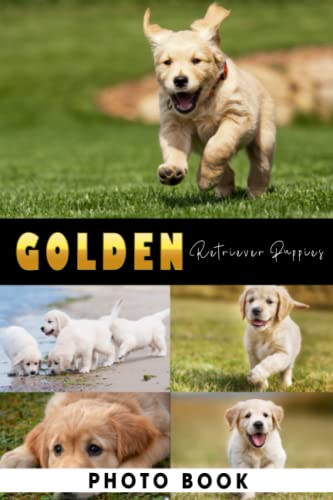 Golden Retriever Puppies Photo Book: Cute Doggies Colorful Photograph Album For All Ages To Unleash The Creativity Energy | Ideal Gift For Animal Lovers