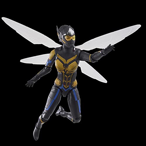 HASBRO Marvel Legends Series - Figura de Avispa - Ant-Man & The Wasp: Quantumania - Marvel Legends - A Partir de 4 años - 15 cm