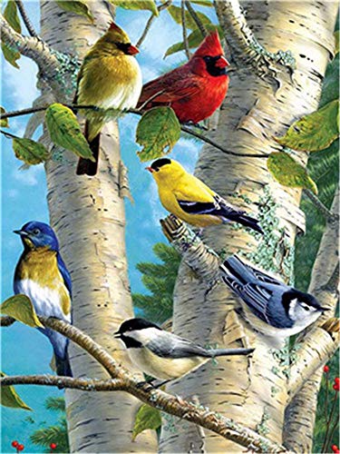 HUANSUNWO Kit de pintura al óleo por números, kit de pintura al óleo para adultos y niños principiantes, 40,6 x 50,8 cm, pájaros y árboles (sin marco)