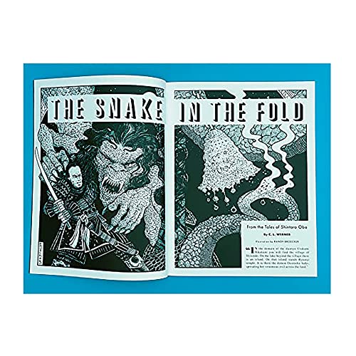 Impressions Tales from The Magician's Skull #7 - Libro de rol de bolsillo