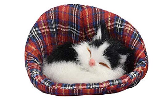 KandyToys Pequeño gatito en cesta (6 diseños – uno enviado al azar)
