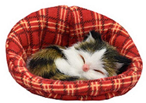 KandyToys Pequeño gatito en cesta (6 diseños – uno enviado al azar)
