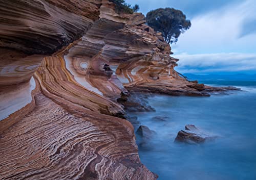 Lais Puzzle Acantilados Pintados en el Parque Nacional de Maria Island, Tasmania, Australia Las Capas erosionadas de óxido de Hierro Forman interesantes Patrones en la línea de Costa 1000 Piezas