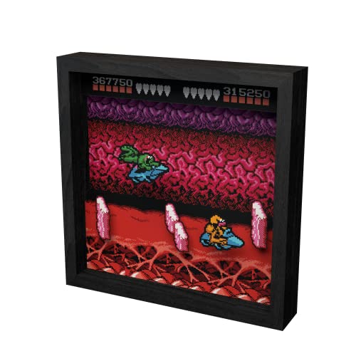 Level Up Labs Pixel Frames: Battletoads NES Turbo Tunnel Caja de sombra 3D Decoración enmarcada para pared, hogar, exhibición de estantes, póster de juego, colección de arte para niños, niñas,