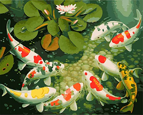 Meecaa Paint by Numbers Fish Goldfish Animal Lotus Kit para adultos principiantes DIY pintura al óleo 16x20 pulgadas (peces, sin marco)