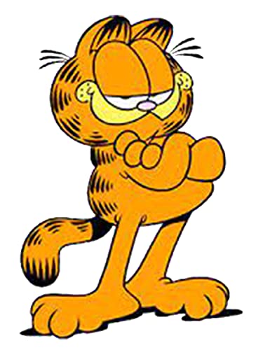 MERCHANDMANIA 1 Funda Bolsa Multiusos el Gato Garfield The Cat Serie Retro Antigua Gafas Dados rol Personalizada Color.