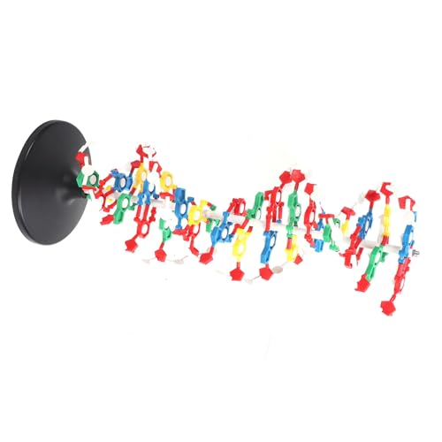 Modelo de Estructura de ADN Proteína Genes Biológicos para Componentes de Equipos de Maestros Populares Plástico Doble para Educador Escolar de Hélice Animales Modelo