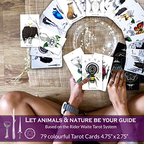 Naked Heart Tarot Deck de Jillian C. Wilde – Tarot Negro Tarot Baraja Tarot Tarot Tarjetas con Guía – Naturaleza y Animales Tarot Cartas para principiantes y todos los niveles Tarot Cards Deck Readers