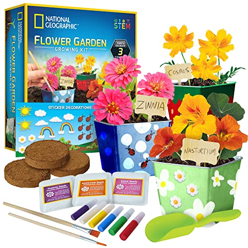 NATIONAL GEOGRAPHIC Kit de cultivo de flores para niños, decoración de 3 macetas con pintura y pegatinas, juego de jardinería para niños, artes y manualidades para niños de 8 a 12 años, kit de jardín