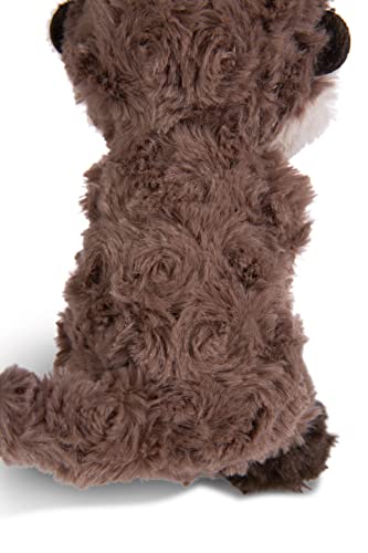 NICI Otter Nutria Oda 20cm Gris sostenible Hecho de Suave Peluche, para Jugar y abrazar, para niños y Adultos, una Gran Idea de Regalo, Color (49150)