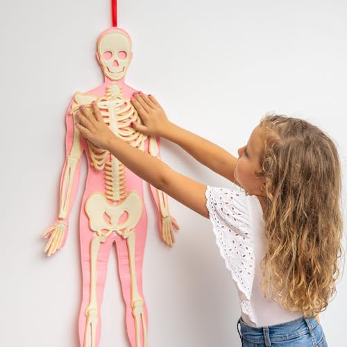 NUESTRO HILO CONDUCTOR This IS ME | Cuerpo Humano para niños | Juegos educativos para niños estudiando anatomía | Juguete Educativo Montessori | Cuerpo Humano Desmontable
