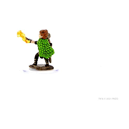 Pathfinder Battles - Figura de primera calidad: druida de gnomo masculino, miniatura pintada por WizKids - Juegos de rol de mesa TTRPG (WK77516)