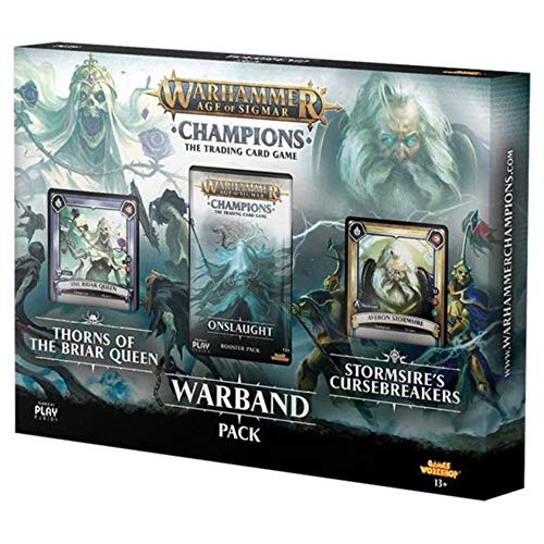 PlayFusion Warhammer Age of Sigmar: Champions Warband Collectors Pack English