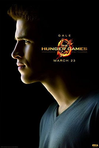 Póster Hunger Games/Los Juegos del Hambre - Gale (68,5cm x 101,5cm)