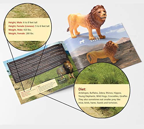 PREXTEX Las Figuras realistas Looking Safari Animales - 9 Grandes Figuras de plástico con Animales de la Selva Libro Grande