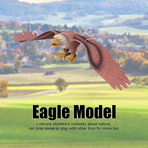 Pwshymi Adornos de Modelo de águila de Alta simulación, decoración de Escritorio, Juguete Educativo para niños, Modelo de águila Colgante(Águila marrón)