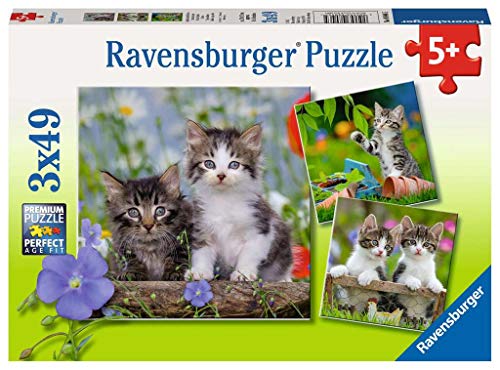 Ravensburger - Puzzle 3 x 49, Gatitos Atigrados (08046)