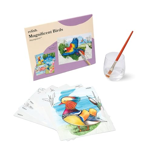 Relish - Dementia Aquapaints Actividades - Paquete de 5 juguetes reutilizables para pintura al agua, pájaros magníficos, productos para el Alzheimer y regalos para ancianos/personas mayores