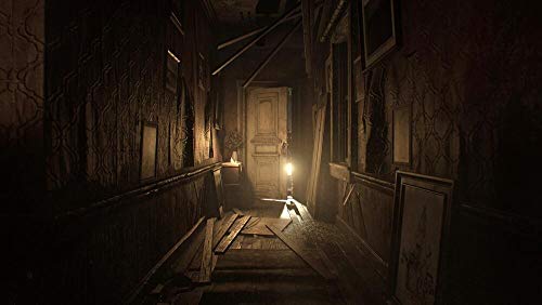 Resident Evil 7 PlayStation HITS