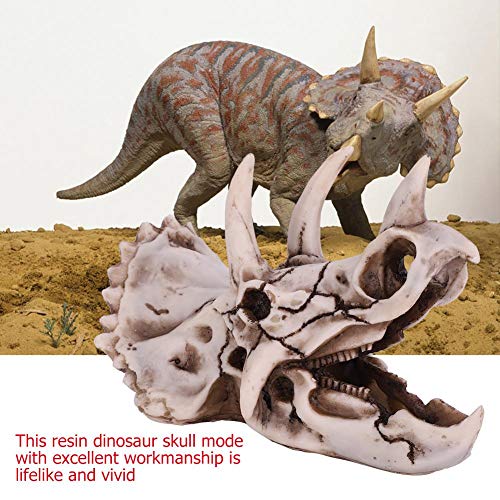 Resina Dinosaurio Triceratops Modelo de cráneo Esqueleto simulado para exhibición de Oficina en casa artesanía Decorativa Juguetes educativos Regalos