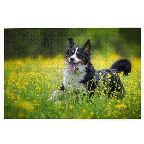 Rompecabezas de 1000 Piezas Sennenhund Running Dogs Lawn Berner Sennenhund Rompecabezas de Madera Juguete Juego Familiar Decoración de Pared para Adultos Adolescentes