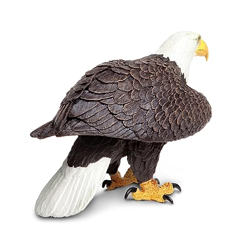 Safari Ltd.- Aguila Calva Figura de Juguete, Multicolor (251029)