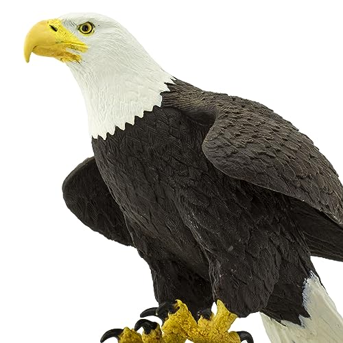 Safari Ltd.- Aguila Calva Figura de Juguete, Multicolor (251029)