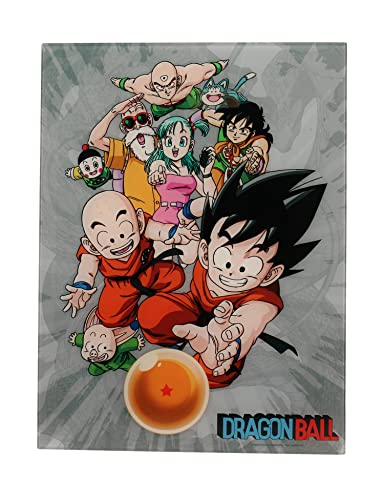 SD TOYS Dragon Ball Personajes Poster De Vidrio Dragon Ball 30 x 40 Cm