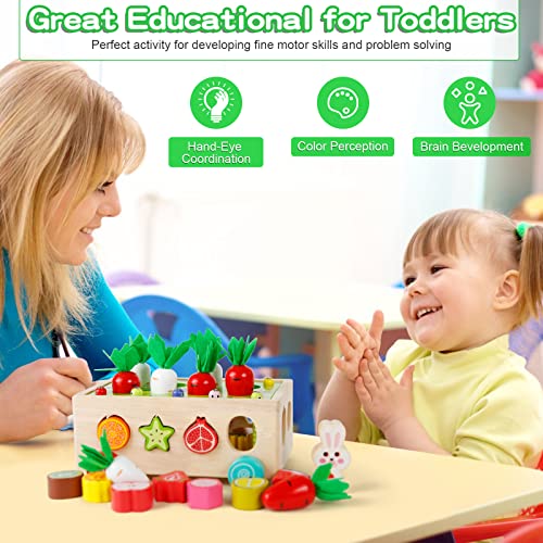 Sterneer Juguetes de Aprendizaje Montessori, Juguetes de Madera, Cubo Adhesivo para Clasificar y Apilar, Regalos para Niños de 1 2 3 4 Años