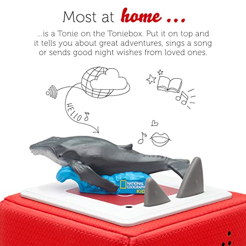 tonies Personaje de audio para Toniebox, National Geographic: Whale, Audio Book Story para niños para usar con Toniebox Music Player (se vende por separado)