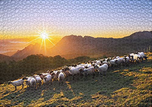 Ulmer Puzzleschmiede - Puzzle Oveja de montaña: Puzzle de 1000 Piezas - Motivo de Paisaje con un rebaño de ovejas en Las montañas al Atardecer