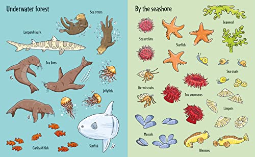 Under the Sea (First Sticker Book) (Usborne First Sticker Books): 1
