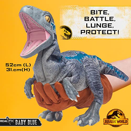 WOW! STUFF RS552098 REALFX Baby Blue Hyper-Realista Dinosaurio Animatronic llamativos Movimientos realistas y Sonidos Reales de películas | Regalos Oficiales de Jurassic World Dominion