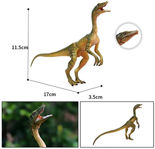 XMING Juguete del Dinosaurio prehistórico Modelo Hecho a Mano de Xiujaw Dragón sólido Modelo plástico Modelo Animal Educación Regalo Entretenimiento Favoritos a Gran Escala Modelo de simulación