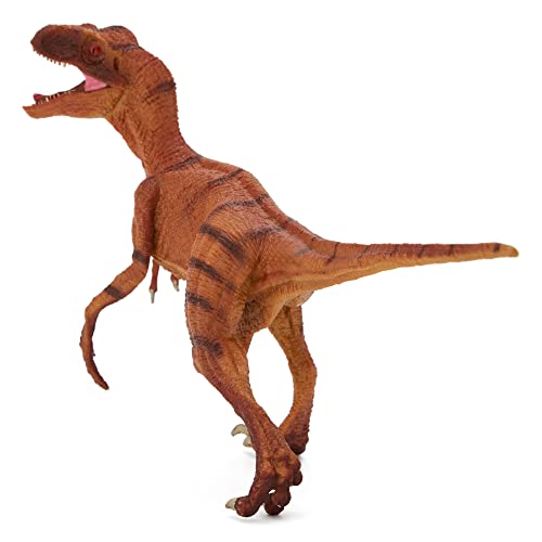 Zappi Co Kids Velociraptor Naranja (23 cm de Largo) Colección de Dinosaurios realistas y detallados para niños - Figuras de acción para Jugar y Aprender