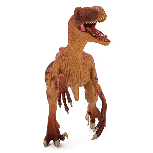 Zappi Co Kids Velociraptor Naranja (23 cm de Largo) Colección de Dinosaurios realistas y detallados para niños - Figuras de acción para Jugar y Aprender