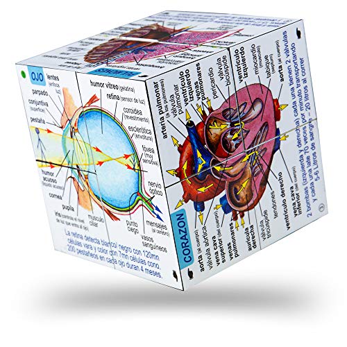 ZooBooKoo Cubebook en Espa?ol Sistemas del Cuerpo Humano y Estad?sticas