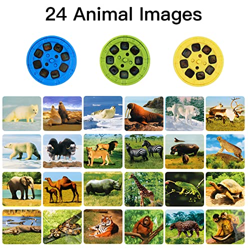AnJeey Mini Linterna Proyector Cuentos,3 Diapositivas Discos Contiene 24 Animale Imágenes,Aprendizaje y Educacion Juguetes,para Niñas y Niños 3+ años