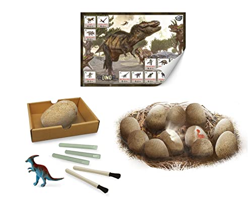 Buki France- Dinosaurios Dino Huevos Maxi Pack x12, Multicolor (2138)