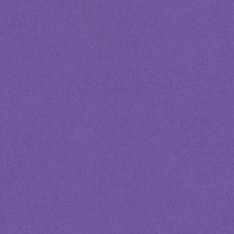 Canson-C200041204 | Unidad 25 Tarjetas Monoruvidi 220 Gr/m2 Formato 70 X 100 Color Púrpura, blanco, Estándar (C200041204)