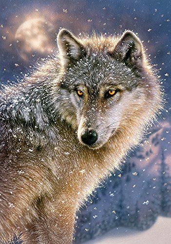 Castorland Lone wolf 500 pcs Puzzle - Rompecabezas (Puzzle rompecabezas, Fauna, Niños y adultos, Lobo, Niño/niña, 9 año(s)) , color/modelo surtido