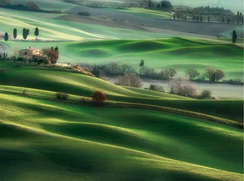 Clementoni Italy Tuscany Hills-Puzle Adulto (500 Piezas), Fabricado en Italia, Color (35098)